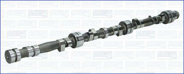 Wilmink Group WG1170938 - Распредвал autospares.lv