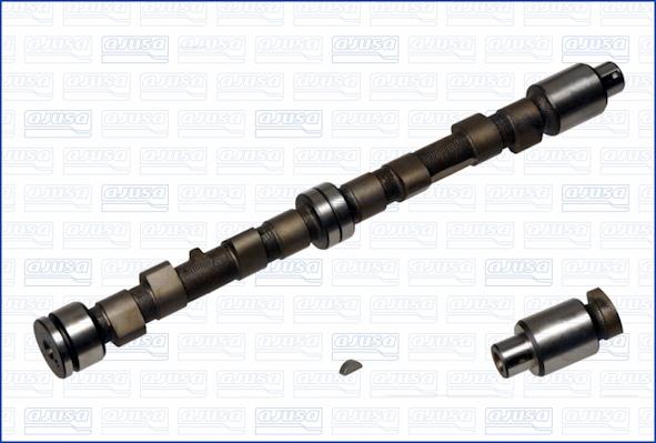 Wilmink Group WG1170832 - Распредвал autospares.lv