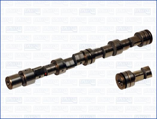 Wilmink Group WG1170837 - Распредвал autospares.lv