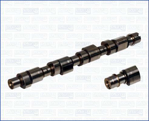Wilmink Group WG1170758 - Распредвал autospares.lv