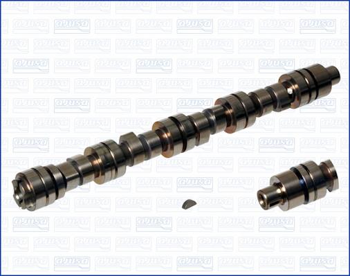 Wilmink Group WG1170716 - Распредвал autospares.lv