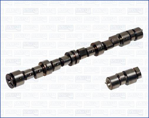 Wilmink Group WG1170786 - Распредвал autospares.lv