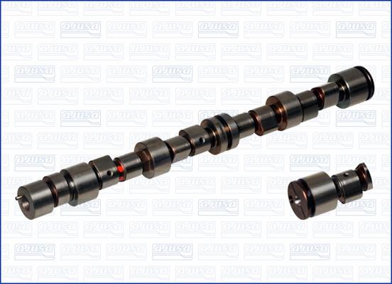 Wilmink Group WG1170787 - Распредвал autospares.lv