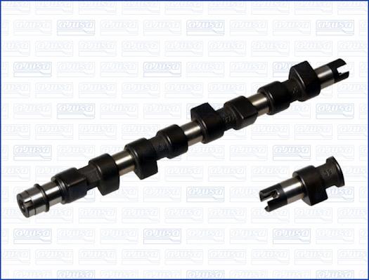 Wilmink Group WG1171402 - Распредвал autospares.lv