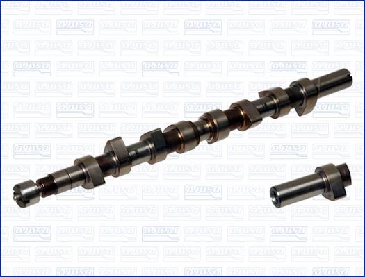 Wilmink Group WG1171407 - Распредвал autospares.lv