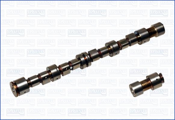 Wilmink Group WG1171048 - Распредвал autospares.lv
