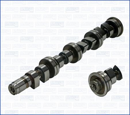 Wilmink Group WG1171353 - Распредвал autospares.lv