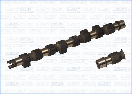 Wilmink Group WG1171352 - Распредвал autospares.lv
