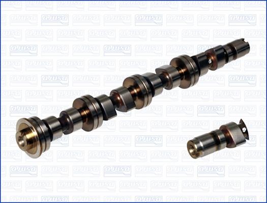 Wilmink Group WG1171335 - Распредвал autospares.lv