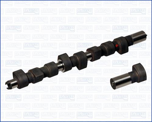 Wilmink Group WG1171338 - Распредвал autospares.lv