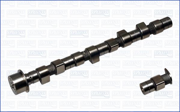 Wilmink Group WG1171376 - Распредвал autospares.lv