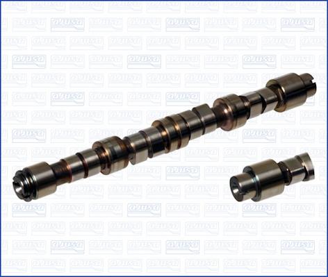 Wilmink Group WG1171263 - Распредвал autospares.lv