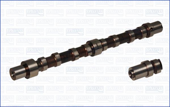 Wilmink Group WG1343352 - Распредвал autospares.lv