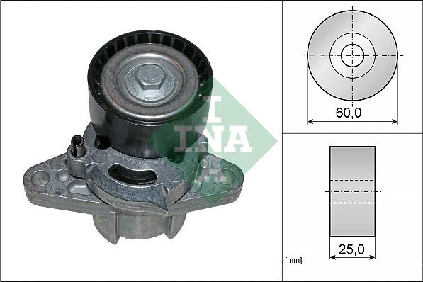 Wilmink Group WG1253457 - Натяжитель, поликлиновый ремень autospares.lv