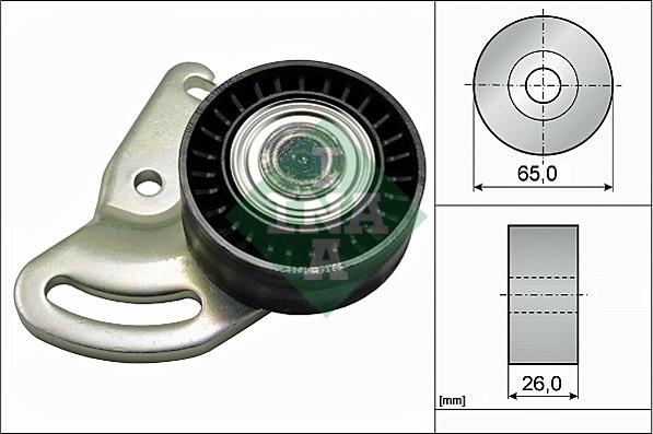 Wilmink Group WG1252427 - Ролик, поликлиновый ремень autospares.lv