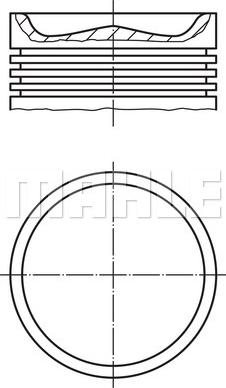 Wilmink Group WG1787825 - Поршень autospares.lv