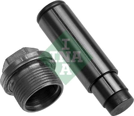 Wilmink Group WG1725072 - Натяжитель цепи ГРМ autospares.lv