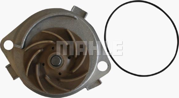 Wilmink Group WG2181454 - Водяной насос autospares.lv