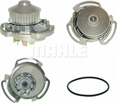 Wilmink Group WG2181450 - Водяной насос autospares.lv