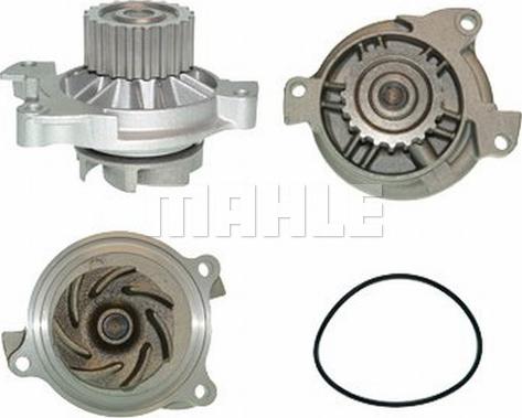 Wilmink Group WG2181429 - Водяной насос autospares.lv