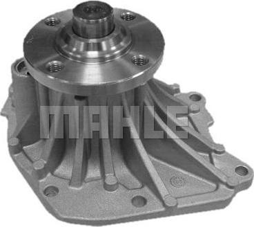 Wilmink Group WG2181473 - Водяной насос autospares.lv