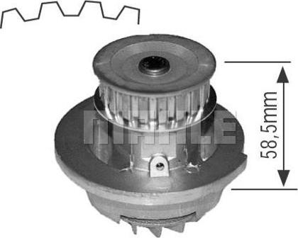 Wilmink Group WG2181578 - Водяной насос autospares.lv