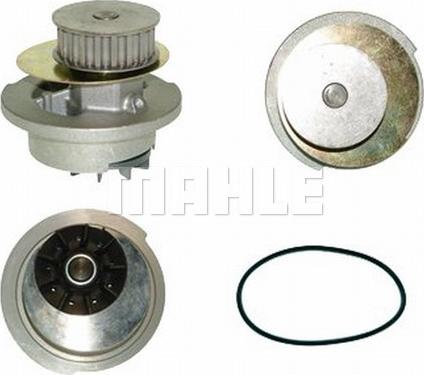 Wilmink Group WG2181624 - Водяной насос autospares.lv