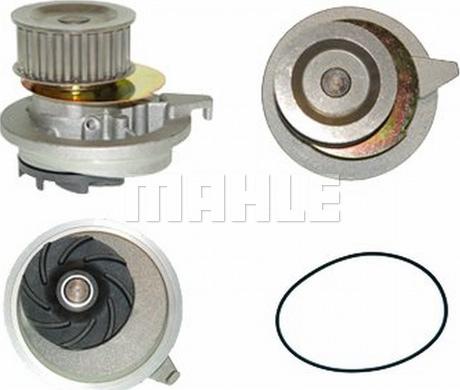 Wilmink Group WG2181625 - Водяной насос autospares.lv