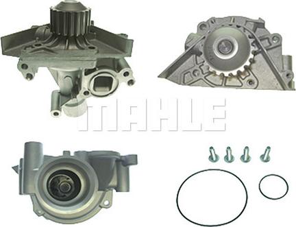 Wilmink Group WG2181398 - Водяной насос autospares.lv