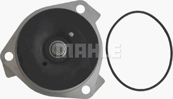 Wilmink Group WG2181343 - Водяной насос autospares.lv