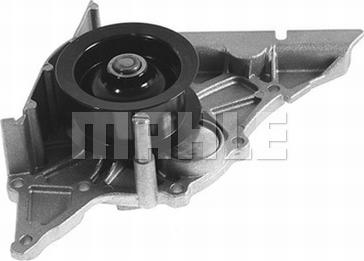 Wilmink Group WG2181365 - Водяной насос autospares.lv