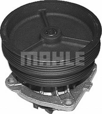 Wilmink Group WG2181360 - Водяной насос autospares.lv