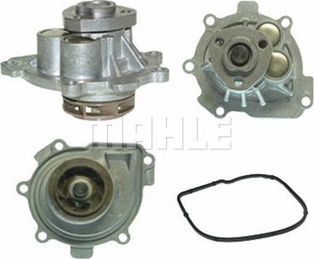 Wilmink Group WG2181318 - Водяной насос autospares.lv