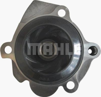 Wilmink Group WG2181313 - Водяной насос autospares.lv