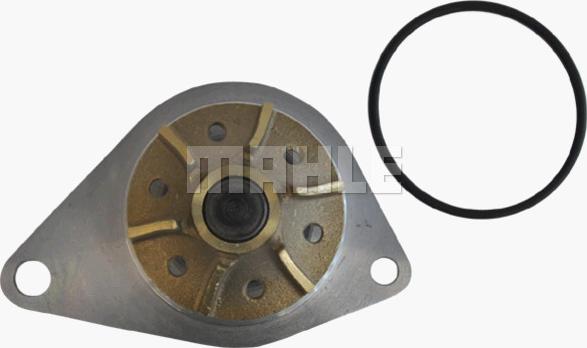 Wilmink Group WG2181339 - Водяной насос autospares.lv