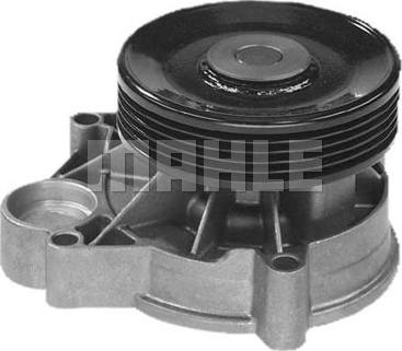Wilmink Group WG2181333 - Водяной насос autospares.lv