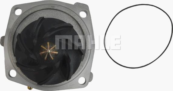 Wilmink Group WG2181325 - Водяной насос autospares.lv