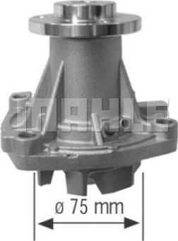 Wilmink Group WG2181326 - Водяной насос autospares.lv