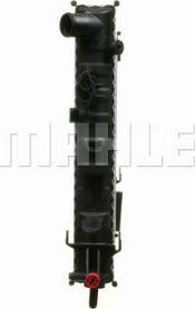 Wilmink Group WG2183463 - Радиатор, охлаждение двигателя autospares.lv