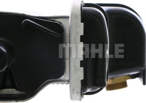 Wilmink Group WG2183337 - Радиатор, охлаждение двигателя autospares.lv