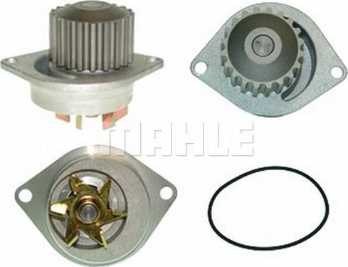 Wilmink Group WG2182058 - Водяной насос autospares.lv
