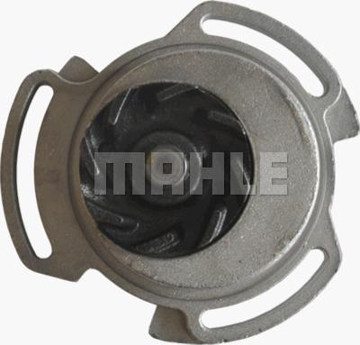 Wilmink Group WG2182033 - Водяной насос autospares.lv