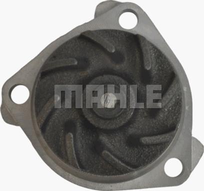 Wilmink Group WG2182070 - Водяной насос autospares.lv