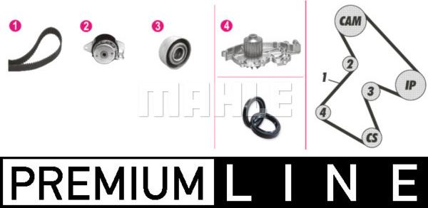 Wilmink Group WG2182191 - Водяной насос + комплект зубчатого ремня ГРМ autospares.lv