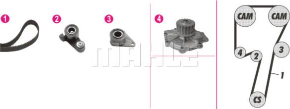 Wilmink Group WG2182192 - Водяной насос + комплект зубчатого ремня ГРМ autospares.lv