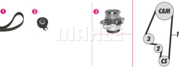 Wilmink Group WG2182197 - Водяной насос + комплект зубчатого ремня ГРМ autospares.lv