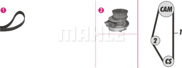 Wilmink Group WG2182149 - Водяной насос + комплект зубчатого ремня ГРМ autospares.lv