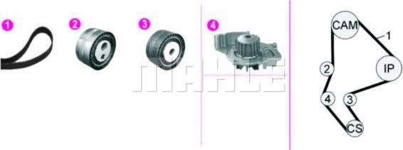 Wilmink Group WG2182140 - Водяной насос + комплект зубчатого ремня ГРМ autospares.lv