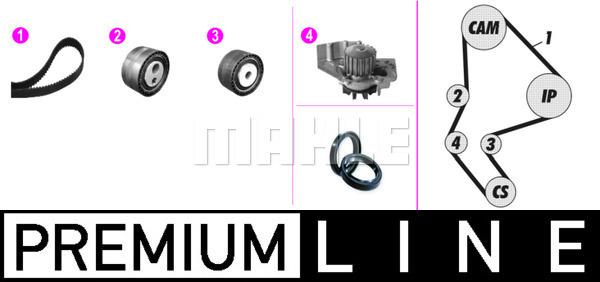 Wilmink Group WG2182169 - Водяной насос + комплект зубчатого ремня ГРМ autospares.lv