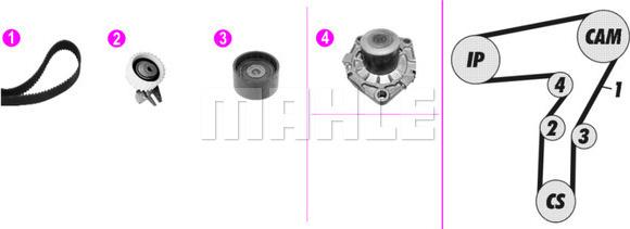 Wilmink Group WG2182103 - Водяной насос + комплект зубчатого ремня ГРМ autospares.lv